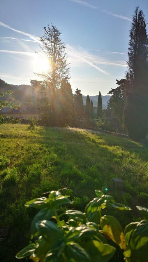 Palazzo Boccella Guest House Villa Basilica Екстериор снимка